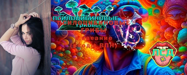 a pvp Карпинск