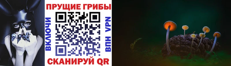 Псилоцибиновые грибы Magic Shrooms  Купить  Набережные Челны 